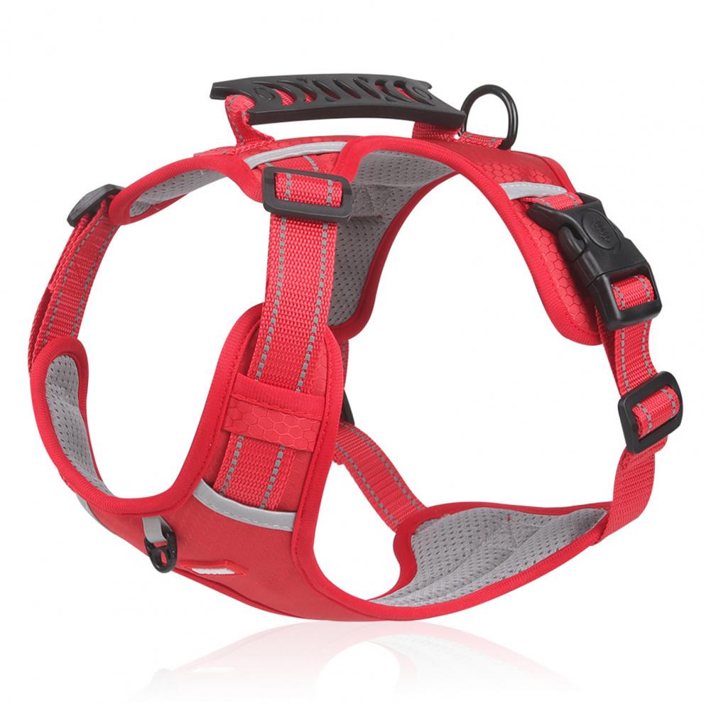 Pupzest Breathable Outdoor Dog Harness Vest
