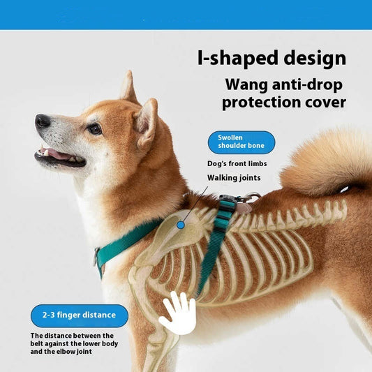 Pupzest Reinforced Dog Rope Leash & Chest Harness