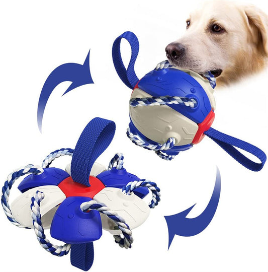 Pupzest Interactive Dog Football Training Ball