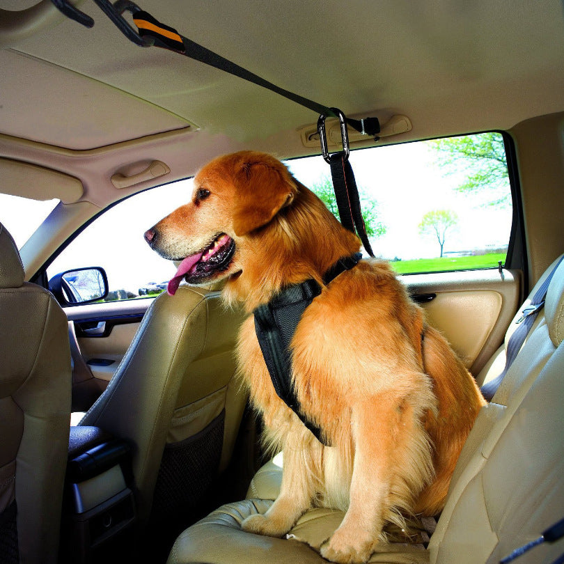 Pupzest Dual-Use Pet Car Safety Lanyard
