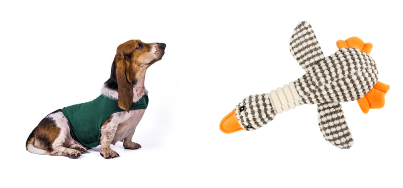 Pupzest Lightweight Pet Comfort Jacket