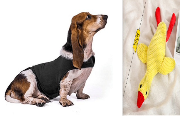 Pupzest Lightweight Pet Comfort Jacket