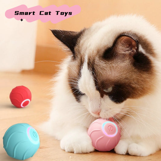 Pupzest Automatic Rolling & Bouncing Cat Toy