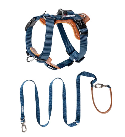 Pupzest Reinforced Dog Rope Leash & Chest Harness