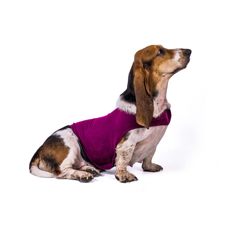 Pupzest Lightweight Pet Comfort Jacket