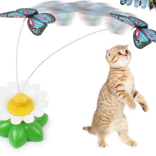 Pupzest Electric Rotating Flower Pet Toy