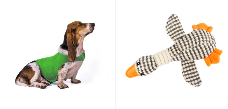 Pupzest Lightweight Pet Comfort Jacket