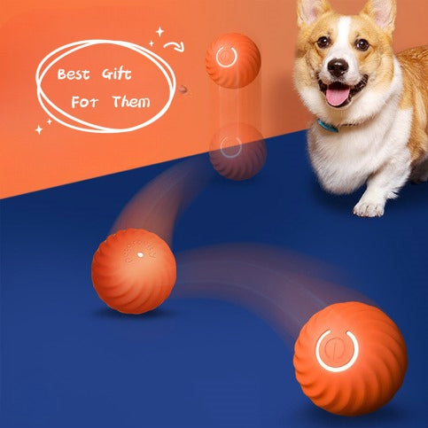 Pupzest Dog Rubber Ball Chew Toy