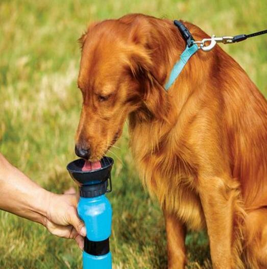Pupzest Travel Water Bottle for Pet Dogs