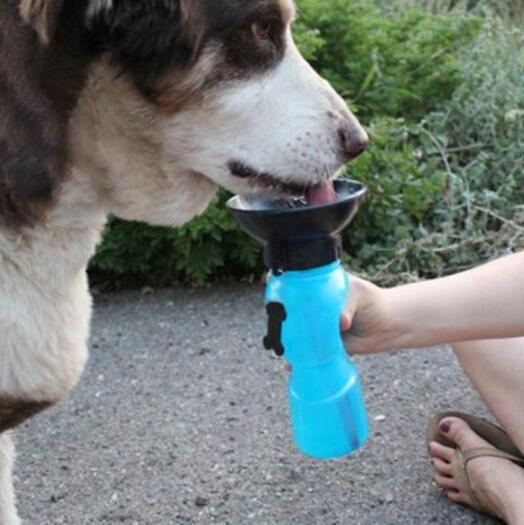 Pupzest Travel Water Bottle for Pet Dogs