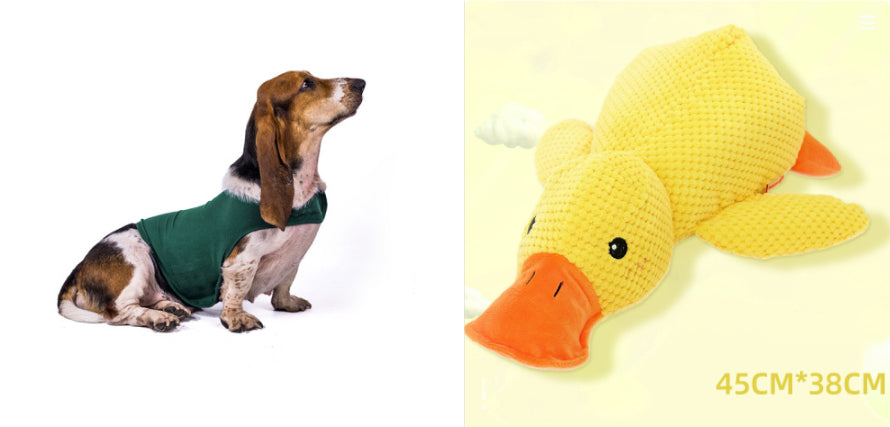 Pupzest Lightweight Pet Comfort Jacket