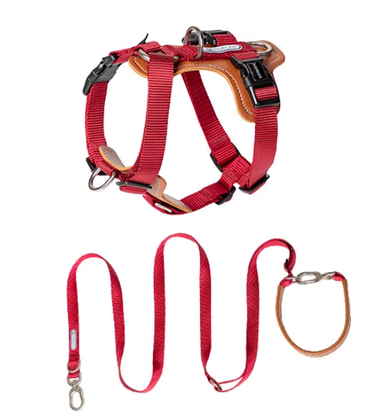 Pupzest Reinforced Dog Rope Leash & Chest Harness