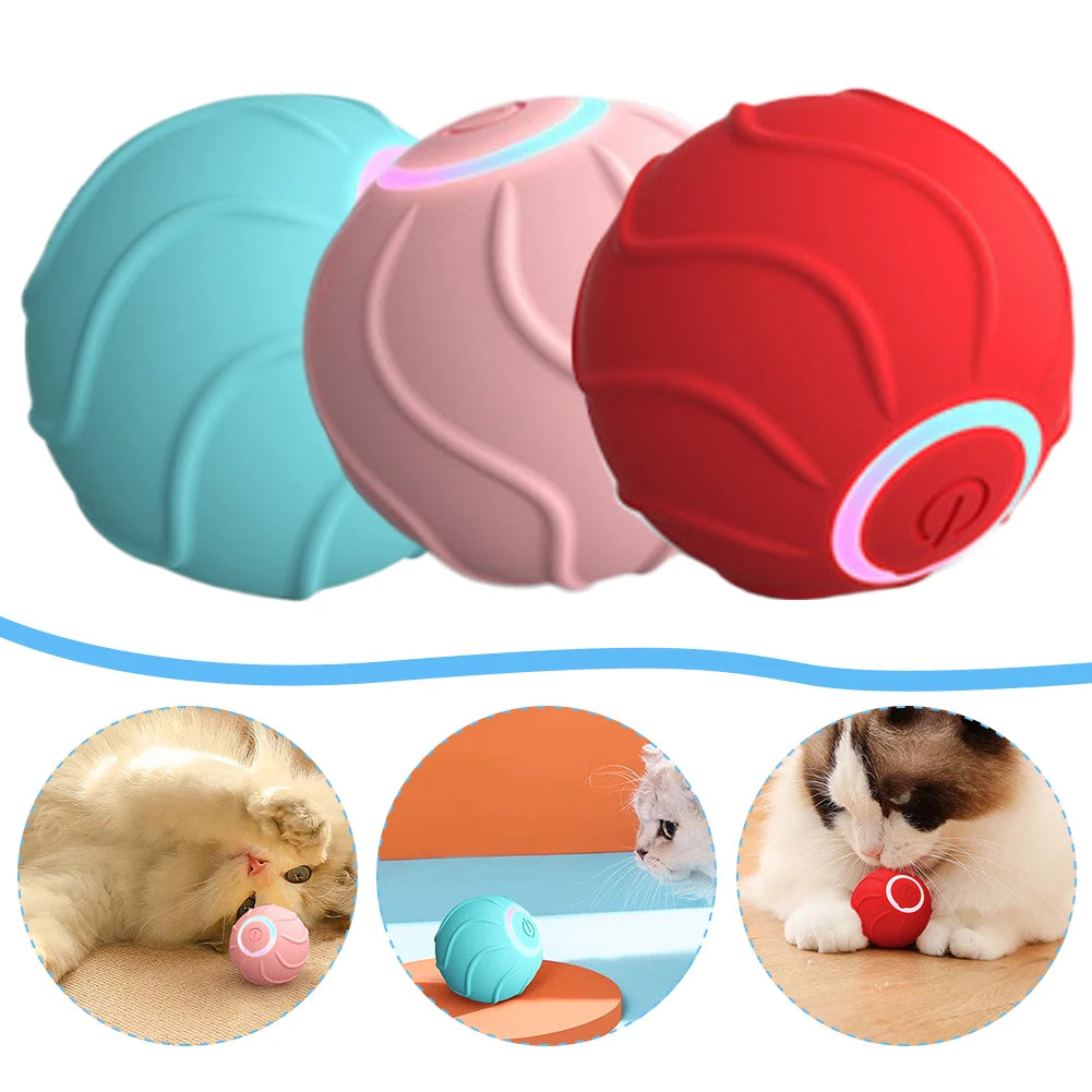 Pupzest Automatic Rolling & Bouncing Cat Toy