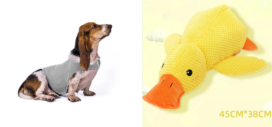 Pupzest Lightweight Pet Comfort Jacket