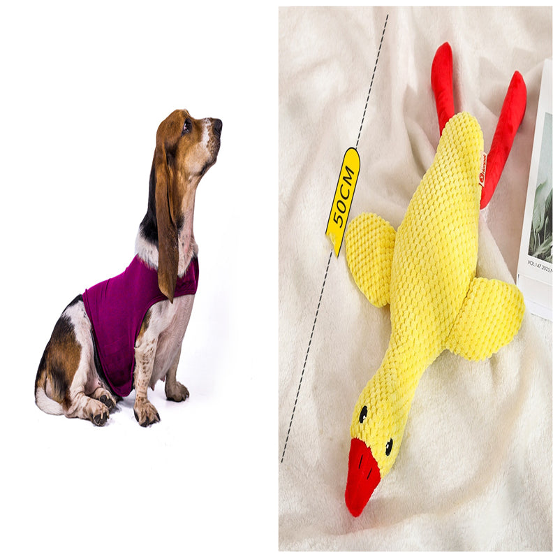 Pupzest Lightweight Pet Comfort Jacket