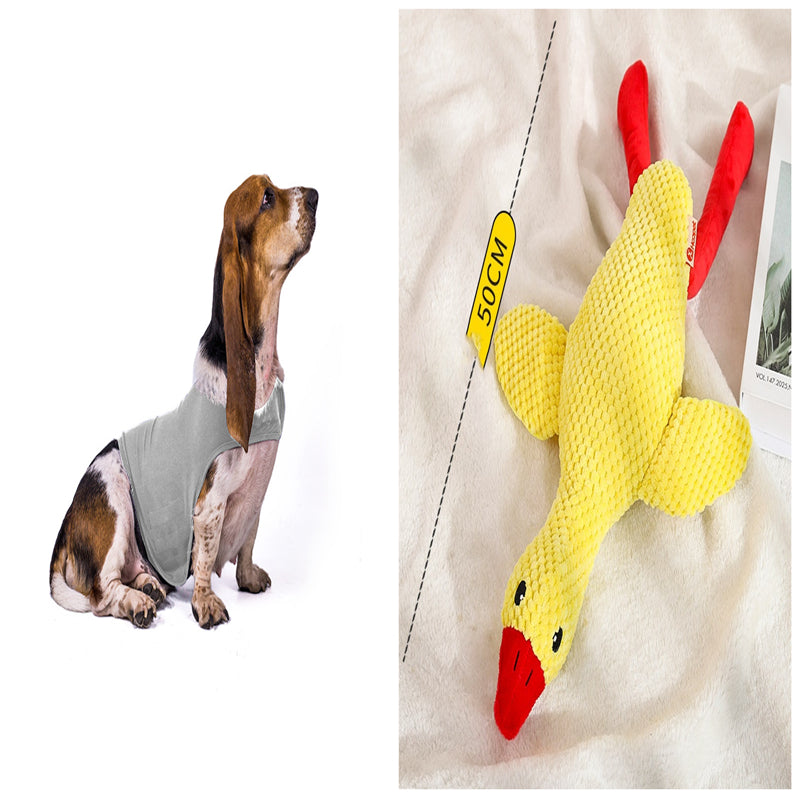 Pupzest Lightweight Pet Comfort Jacket