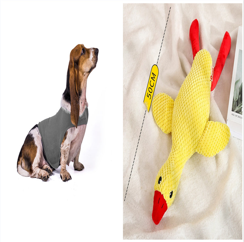 Pupzest Lightweight Pet Comfort Jacket