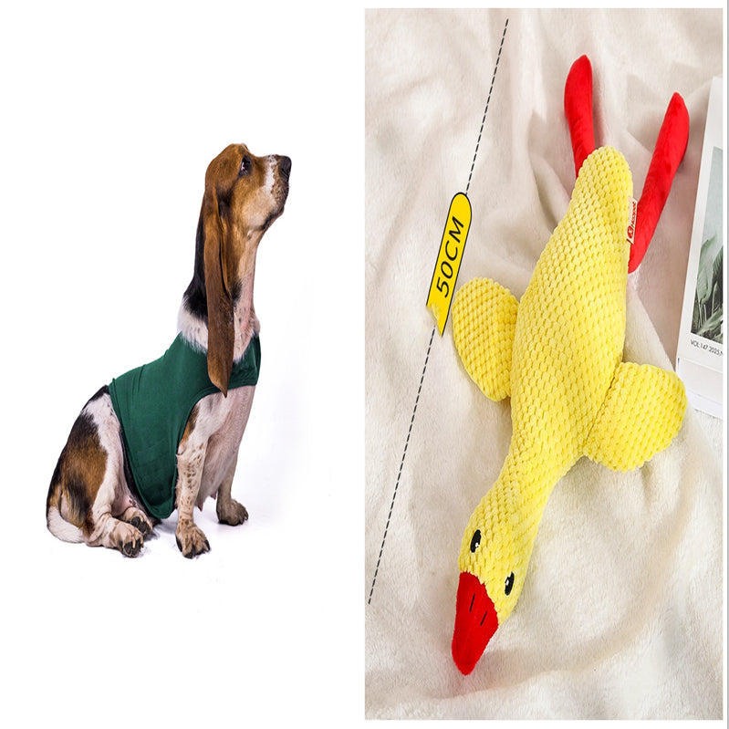 Pupzest Lightweight Pet Comfort Jacket