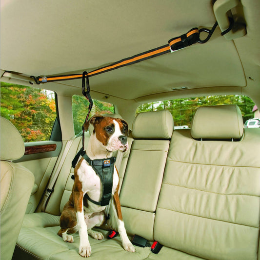 Pupzest Dual-Use Pet Car Safety Lanyard