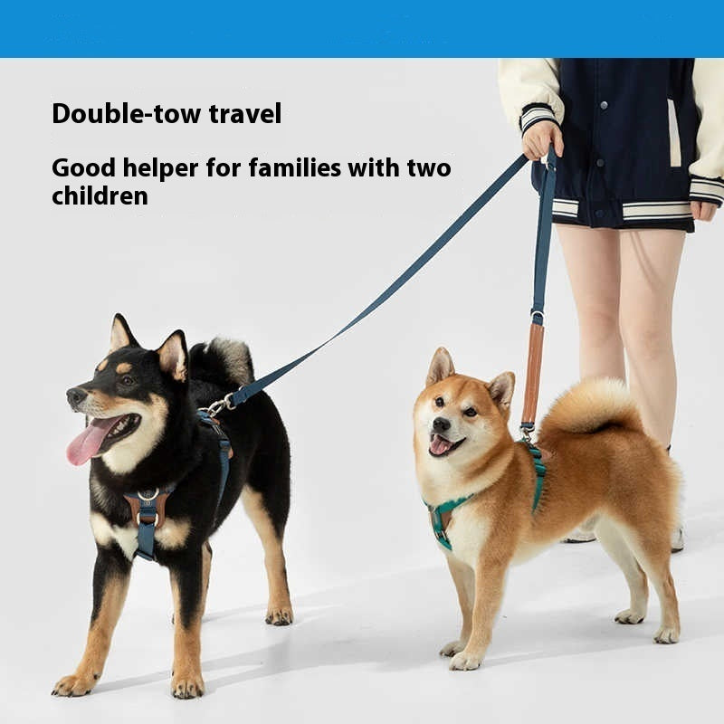 Pupzest Reinforced Dog Rope Leash & Chest Harness